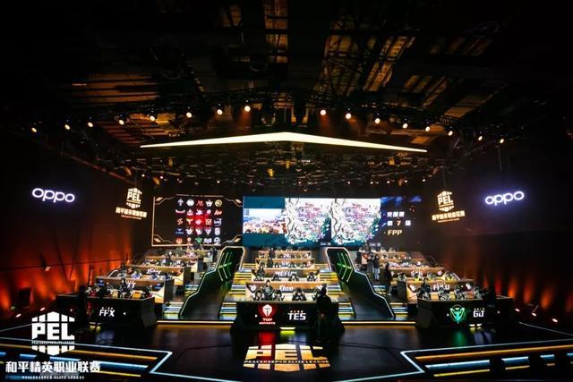 並強調他們 並強調他們