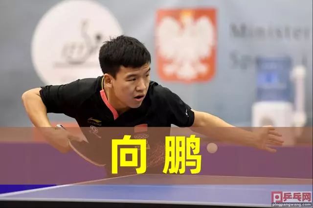 他拥有